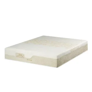 تشک اسپشیال