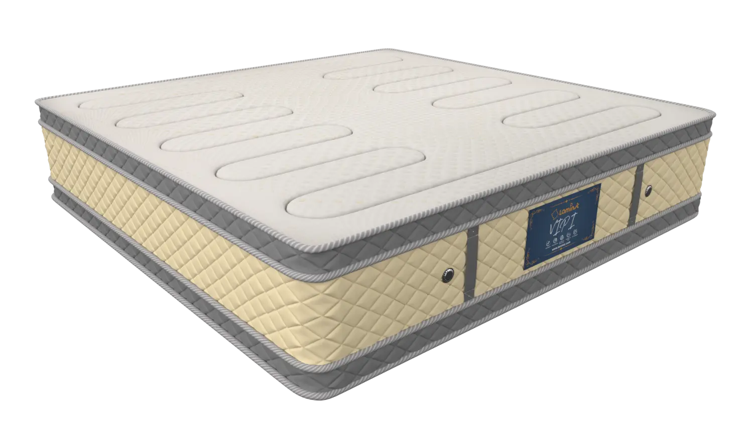 تشک وی آی پی ۱